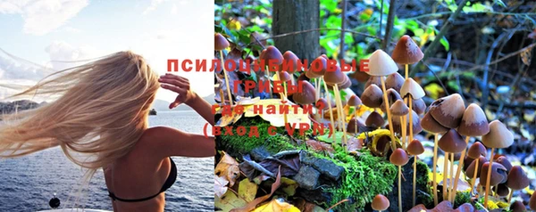 круглые Алзамай